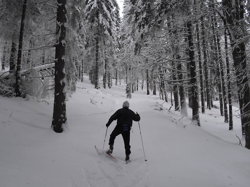 eszima2013_030