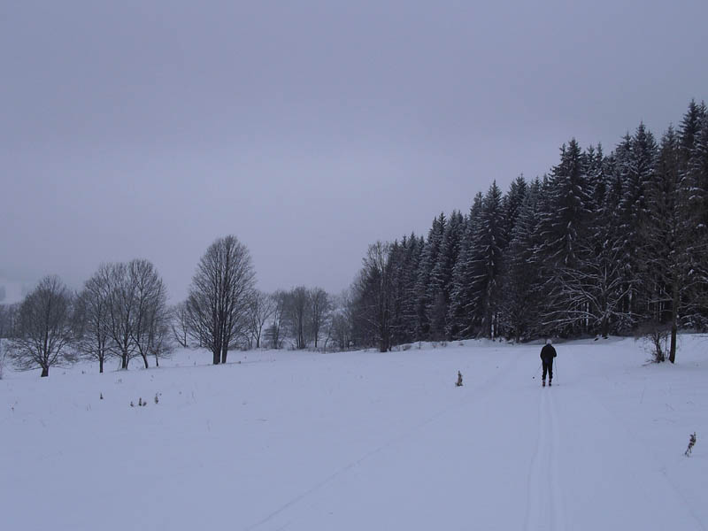 eszima2013_040